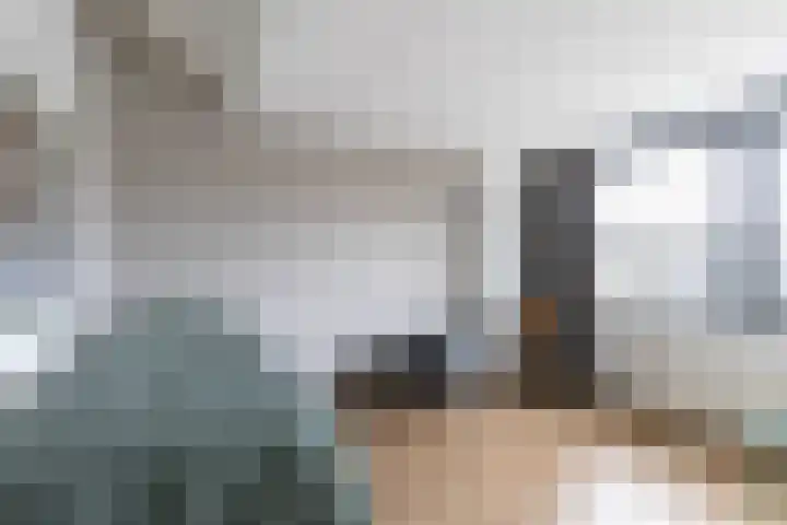 Het Brekkense Wiel 30 Lemmer thumbnail 22