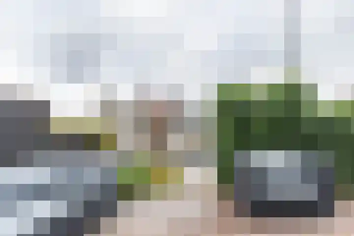 Het Brekkense Wiel 30 Lemmer thumbnail 32