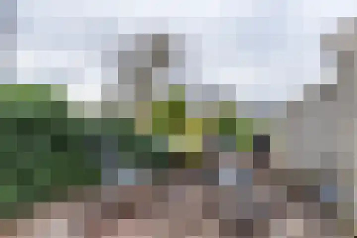 Het Brekkense Wiel 30 Lemmer thumbnail 33