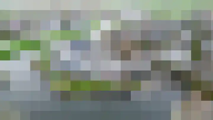 Het Brekkense Wiel 30 Lemmer thumbnail 37