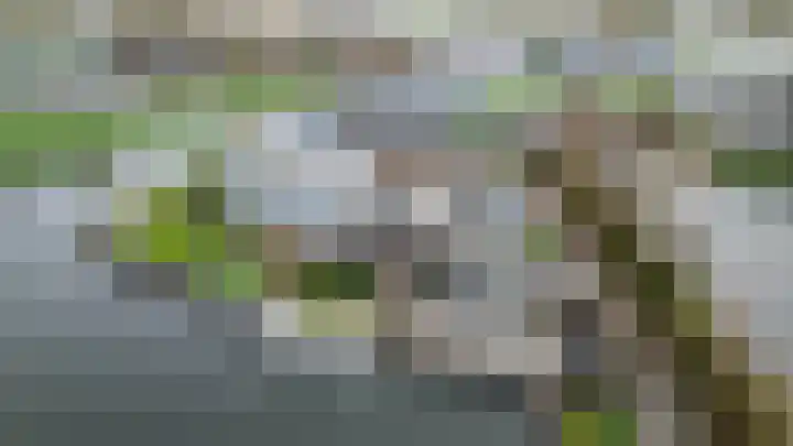Het Brekkense Wiel 30 Lemmer thumbnail 38