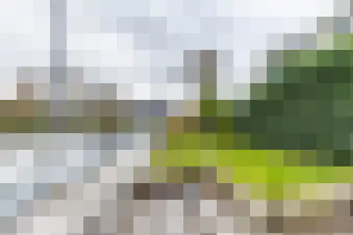 Het Brekkense Wiel 30 Lemmer thumbnail 39