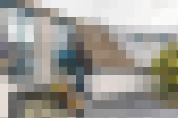 Het Brekkense Wiel 30 Lemmer thumbnail 4