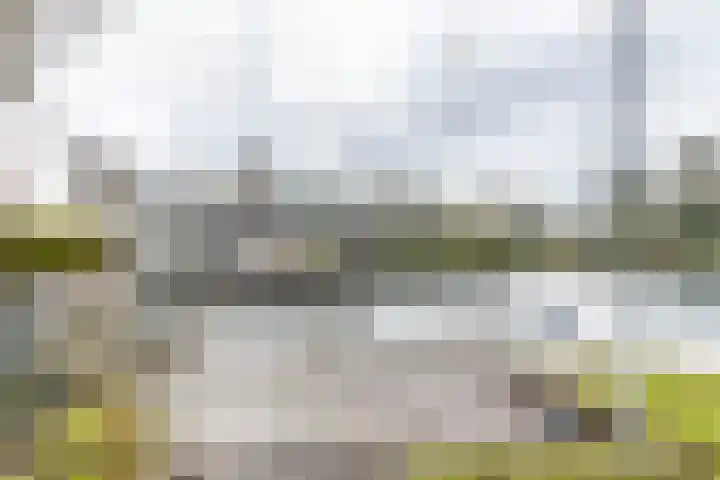 Het Brekkense Wiel 30 Lemmer thumbnail 40