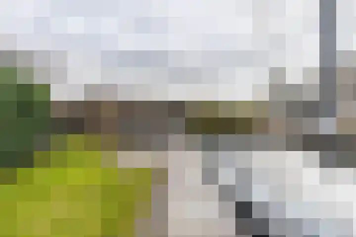Het Brekkense Wiel 30 Lemmer thumbnail 41
