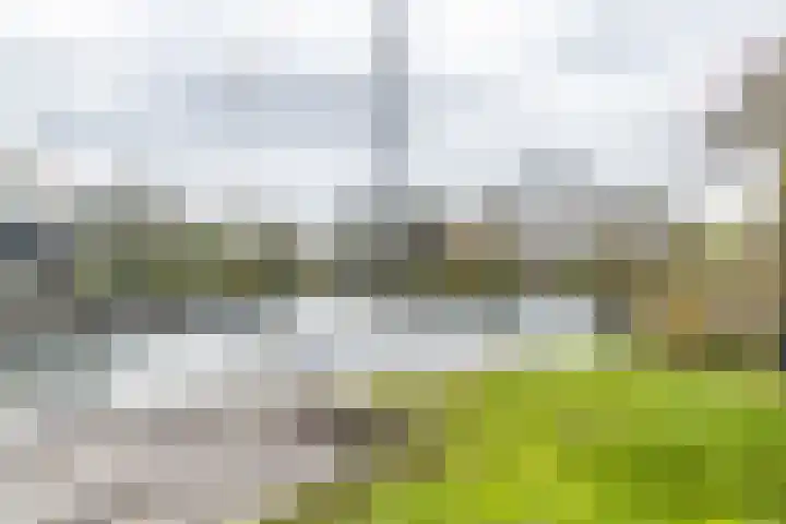 Het Brekkense Wiel 30 Lemmer thumbnail 42