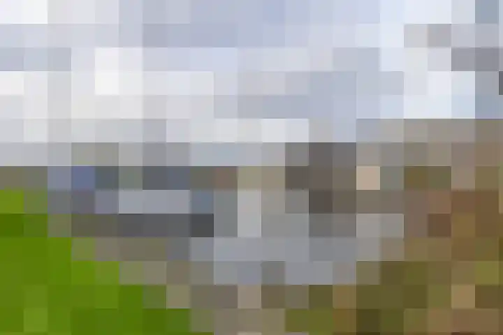 Het Brekkense Wiel 30 Lemmer thumbnail 43