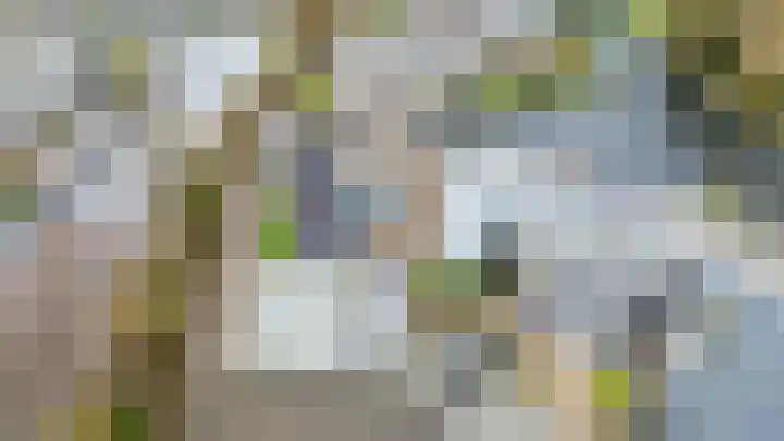Het Brekkense Wiel 30 Lemmer thumbnail 44