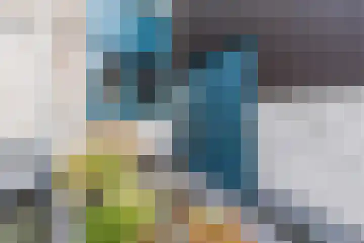 Het Brekkense Wiel 30 Lemmer thumbnail 5