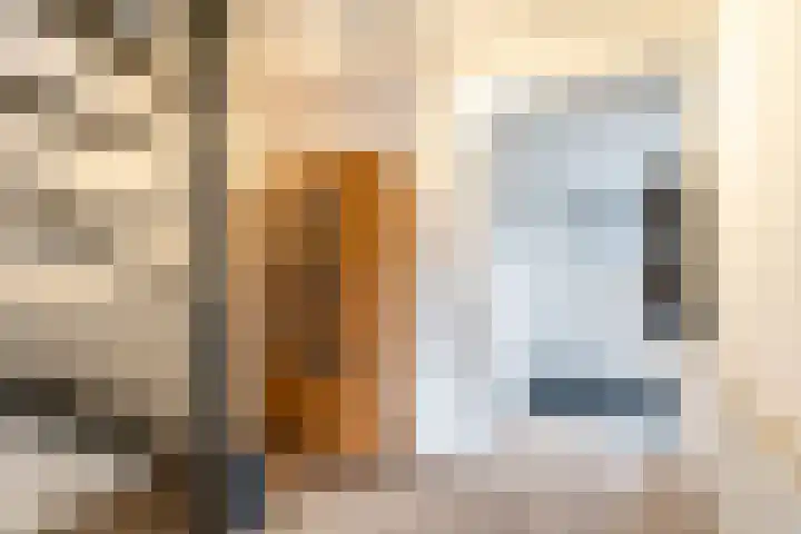 Het Brekkense Wiel 30 Lemmer thumbnail 6