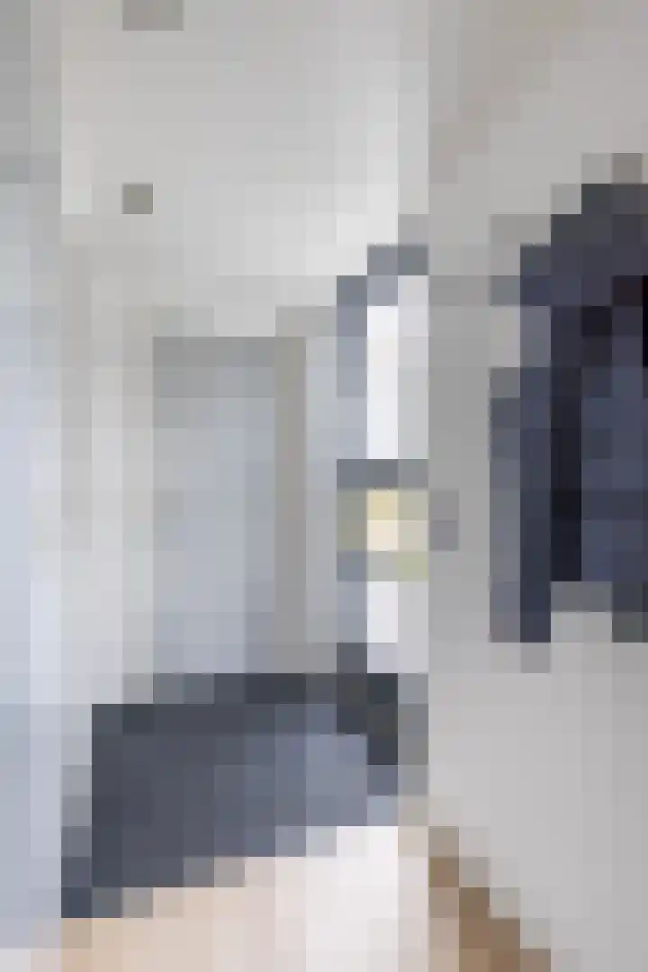 Het Brekkense Wiel 30 Lemmer thumbnail 7