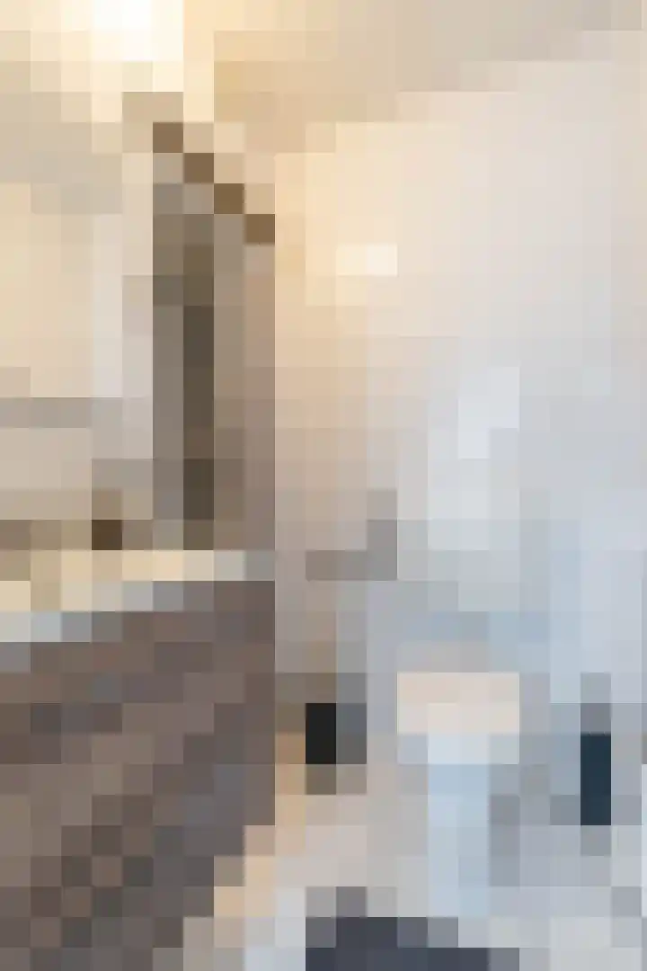 Het Brekkense Wiel 30 Lemmer thumbnail 8