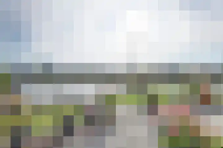 Het Brekkense Wiel 36 Lemmer thumbnail 10
