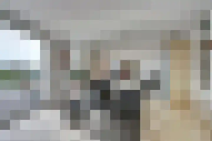 Het Brekkense Wiel 36 Lemmer thumbnail 20