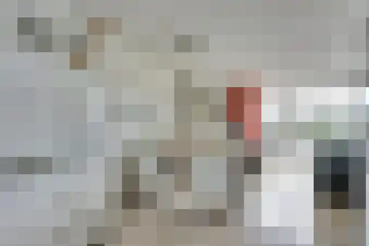 Het Brekkense Wiel 36 Lemmer thumbnail 22