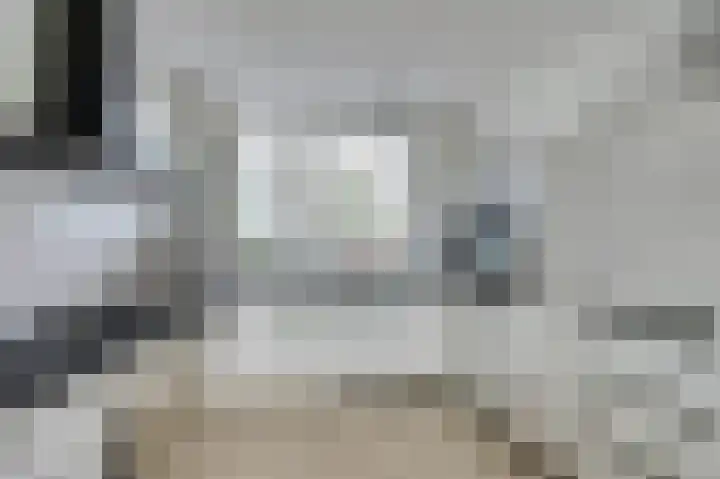 Het Brekkense Wiel 36 Lemmer thumbnail 24