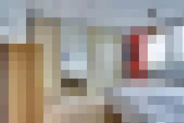 Het Brekkense Wiel 36 Lemmer thumbnail 25