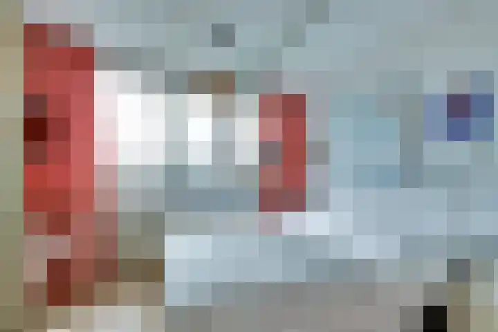 Het Brekkense Wiel 36 Lemmer thumbnail 26