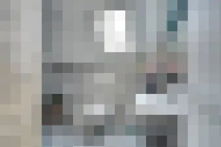 Het Brekkense Wiel 36 Lemmer thumbnail 27