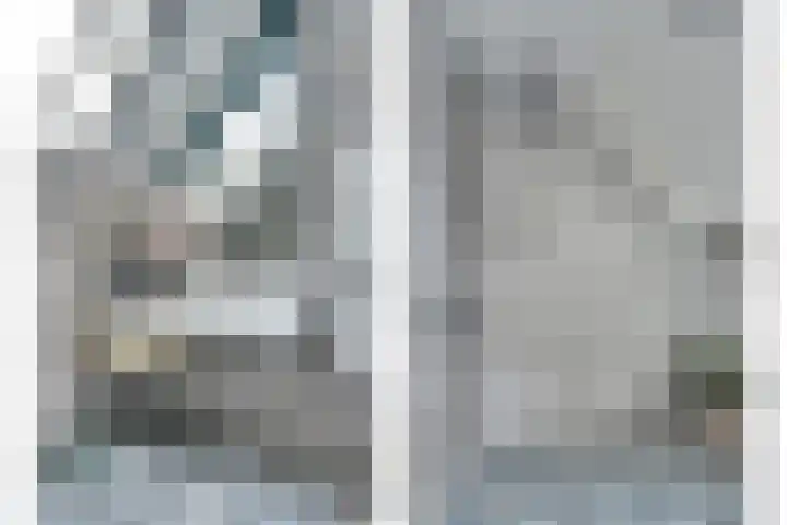 Het Brekkense Wiel 36 Lemmer thumbnail 28