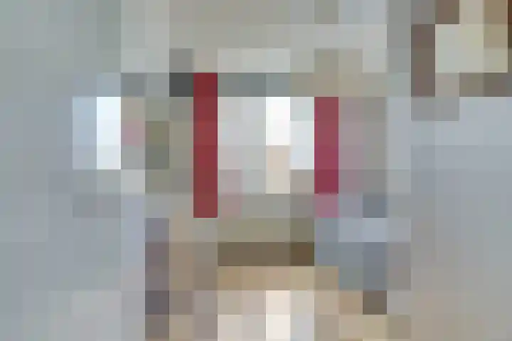 Het Brekkense Wiel 36 Lemmer thumbnail 30