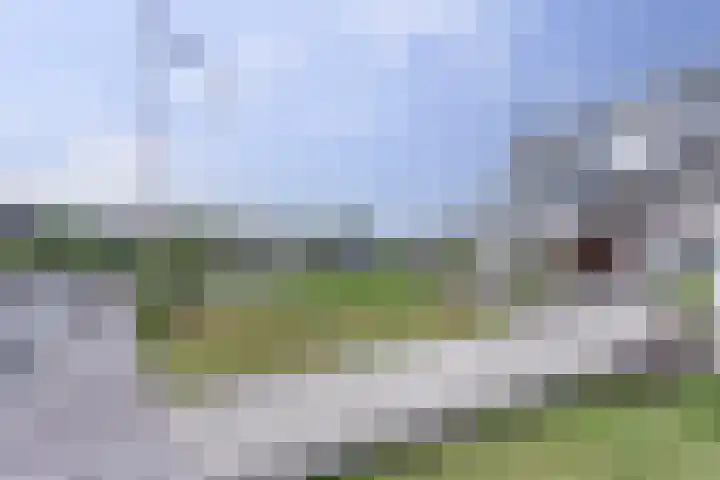 Het Brekkense Wiel 36 Lemmer thumbnail 8