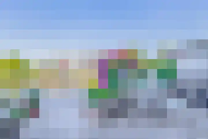 Het Brekkense Wiel 47 Lemmer thumbnail 18
