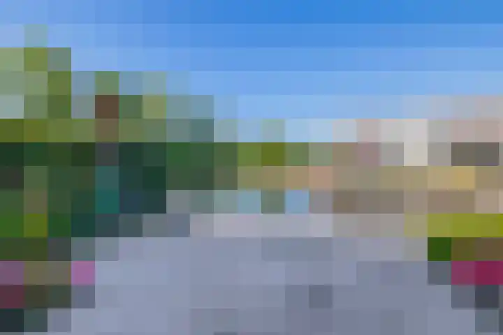 Het Brekkense Wiel 47 Lemmer thumbnail 19