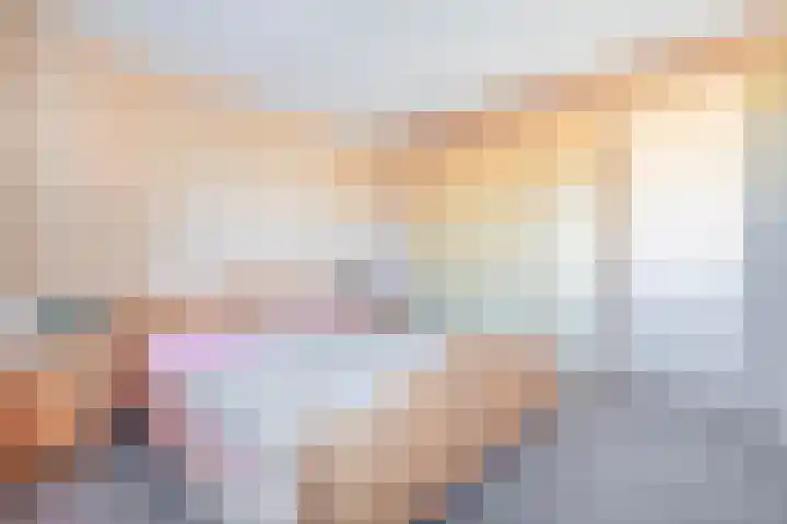 Het Brekkense Wiel 47 Lemmer thumbnail 25