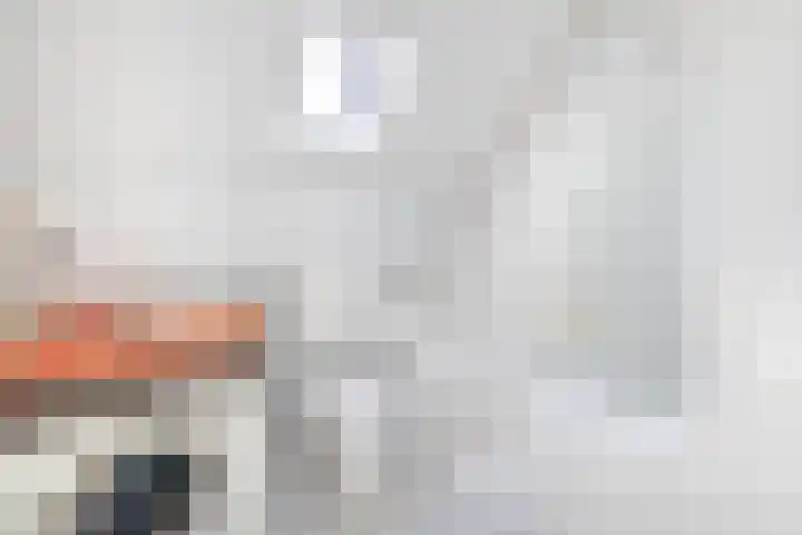 Het Brekkense Wiel 47 Lemmer thumbnail 27