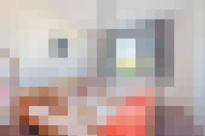 Het Brekkense Wiel 47 Lemmer thumbnail 29