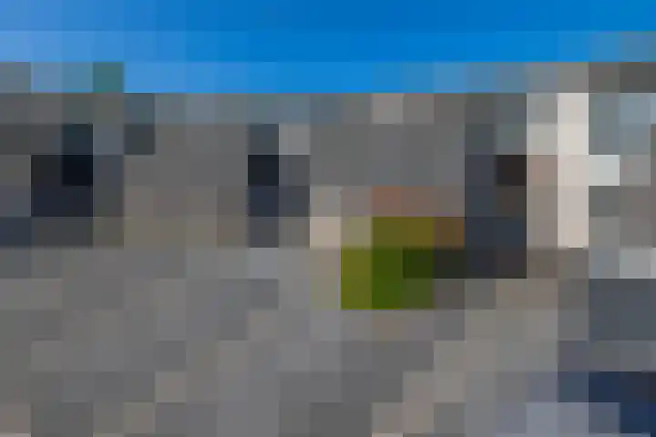 Het Brekkense Wiel 47 Lemmer thumbnail 31