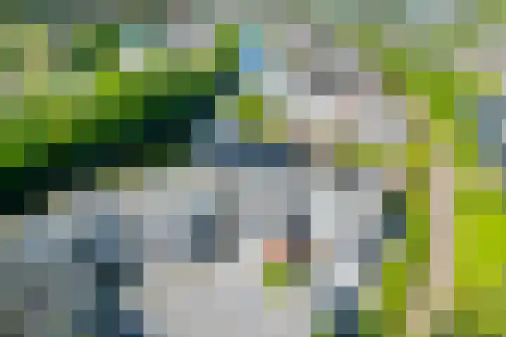 Het Brekkense Wiel 47 Lemmer thumbnail 36