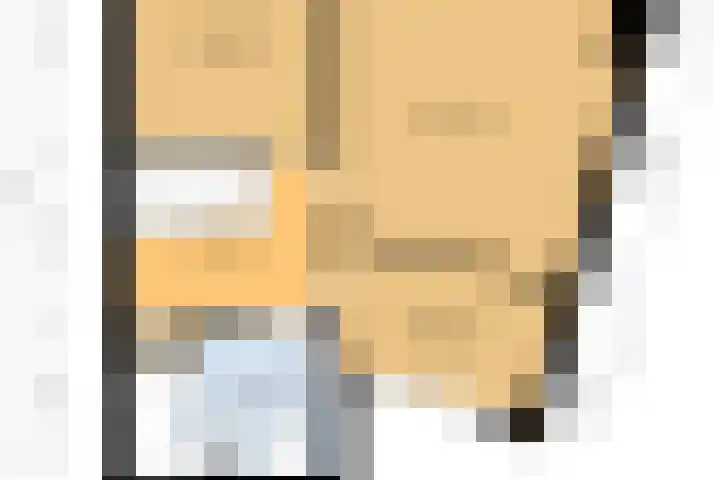 Het Brekkense Wiel 47 Lemmer thumbnail 39