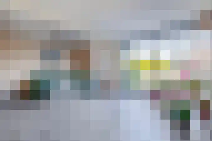 Het Brekkense Wiel 47 Lemmer thumbnail 4