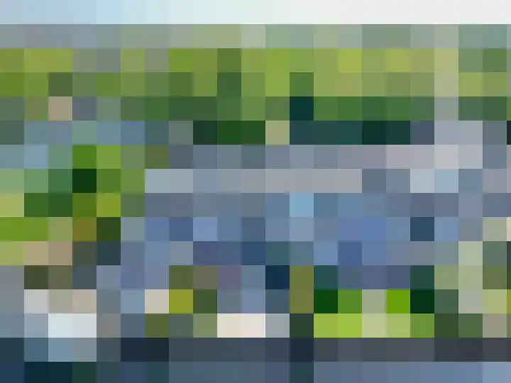 Het Brekkense Wiel 47 Lemmer thumbnail 41