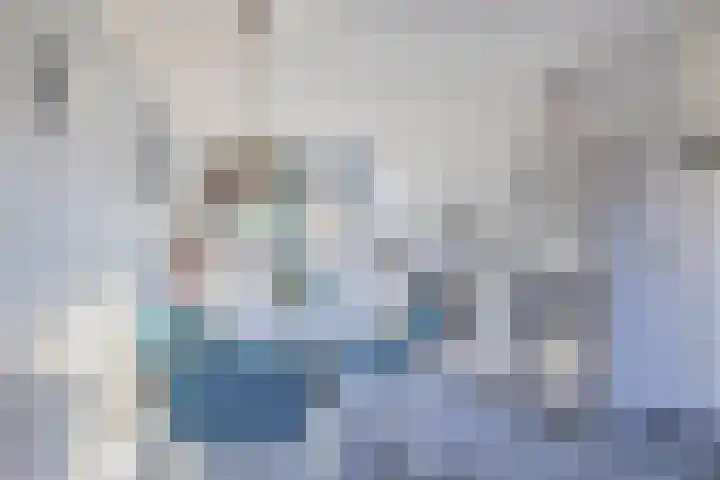 Het Brekkense Wiel 47 Lemmer thumbnail 5