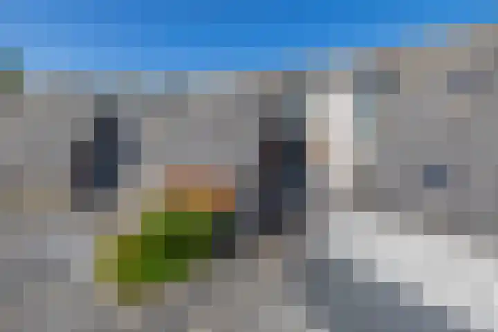 Het Brekkense Wiel 47 Lemmer thumbnail 6