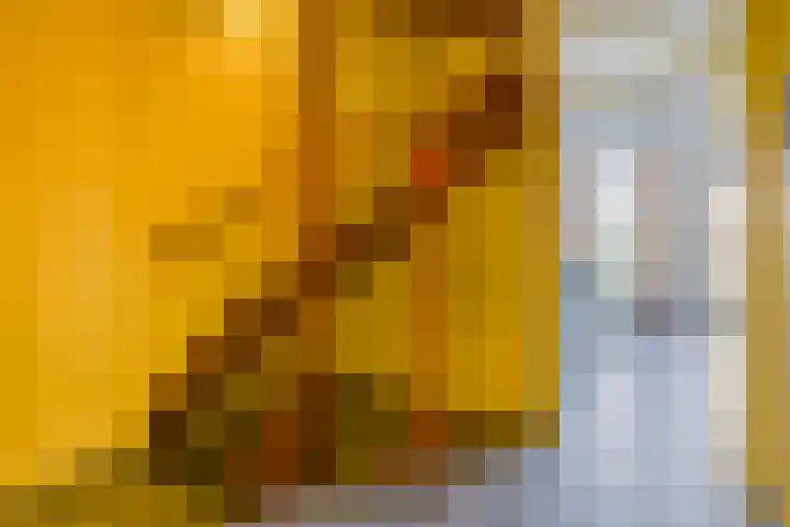 Het Brekkense Wiel 47 Lemmer thumbnail 9