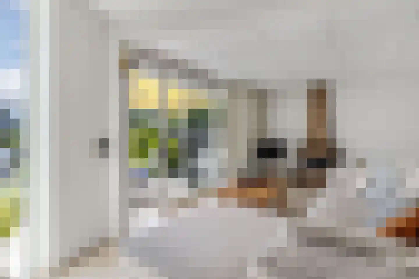 Het Brekkense Wiel 49 Lemmer thumbnail 14