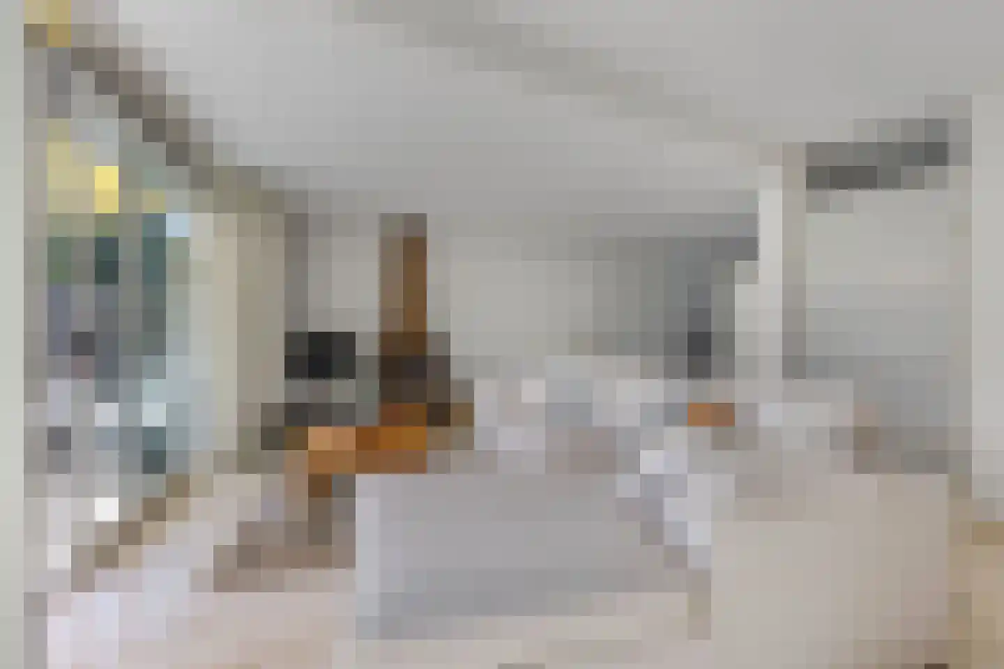 Het Brekkense Wiel 49 Lemmer thumbnail 15