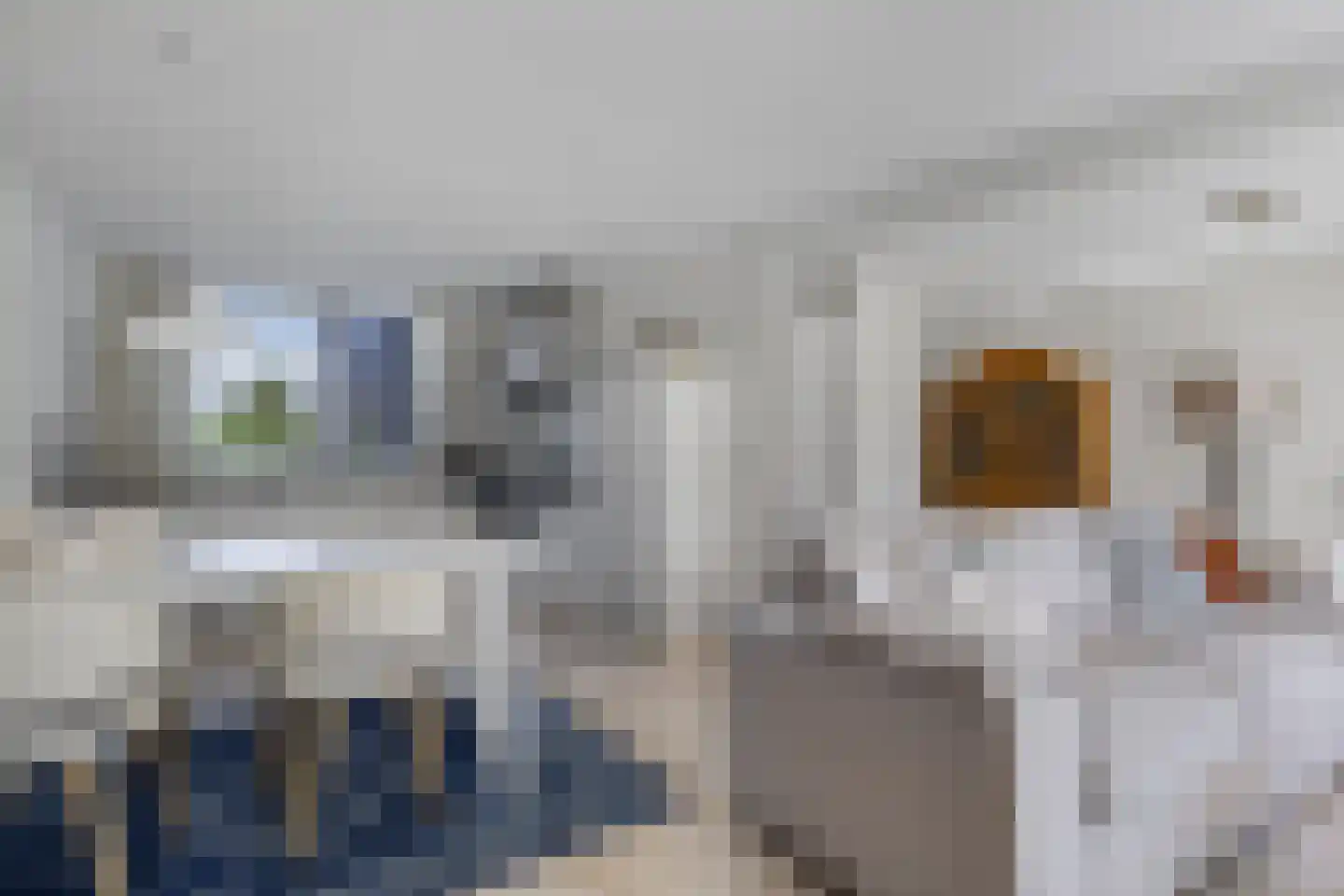 Het Brekkense Wiel 49 Lemmer thumbnail 18