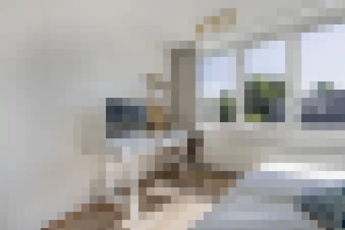 Het Brekkense Wiel 49 Lemmer thumbnail 25