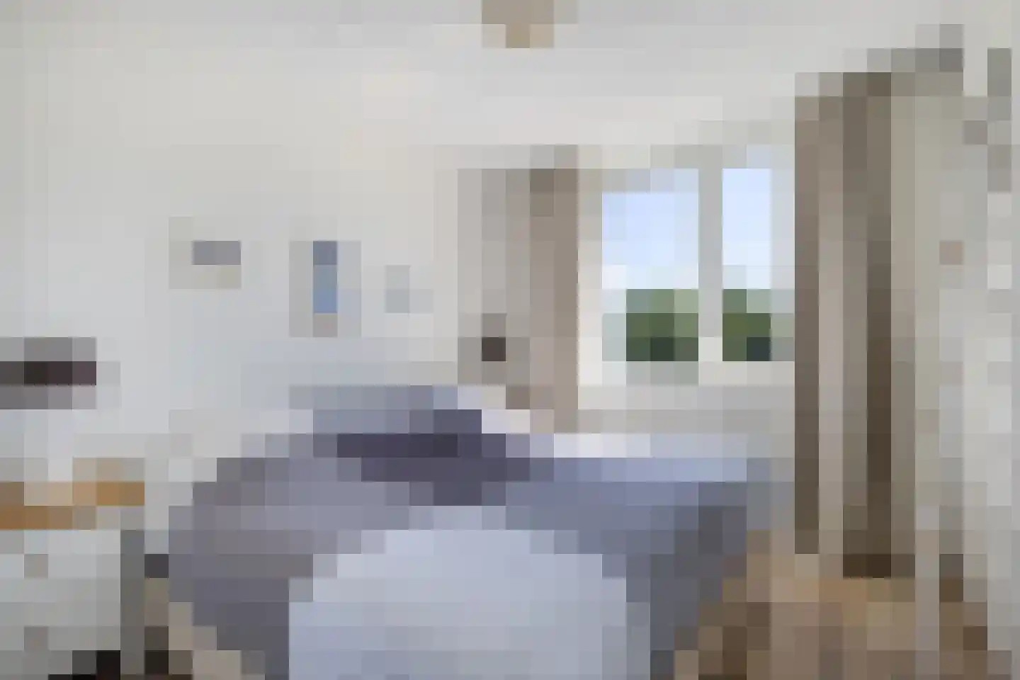 Het Brekkense Wiel 49 Lemmer thumbnail 27