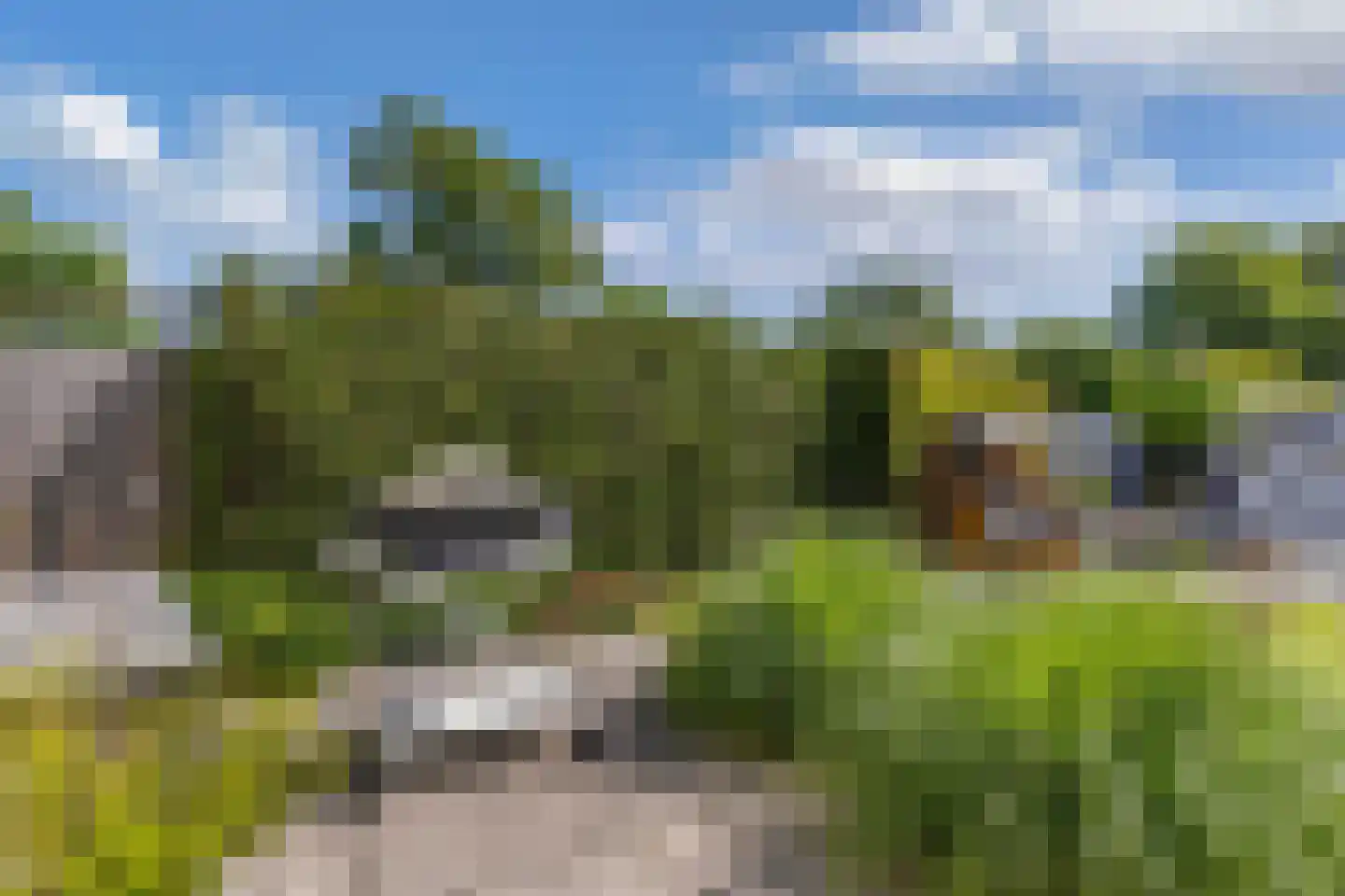 Het Brekkense Wiel 49 Lemmer thumbnail 36