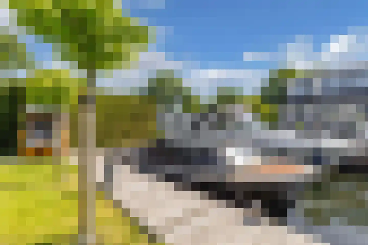 Het Brekkense Wiel 49 Lemmer thumbnail 37