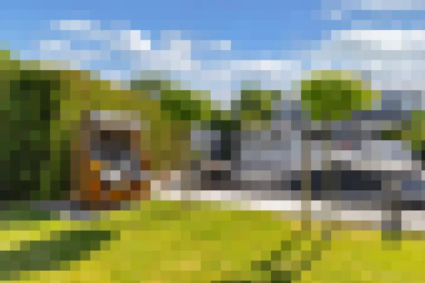 Het Brekkense Wiel 49 Lemmer thumbnail 38
