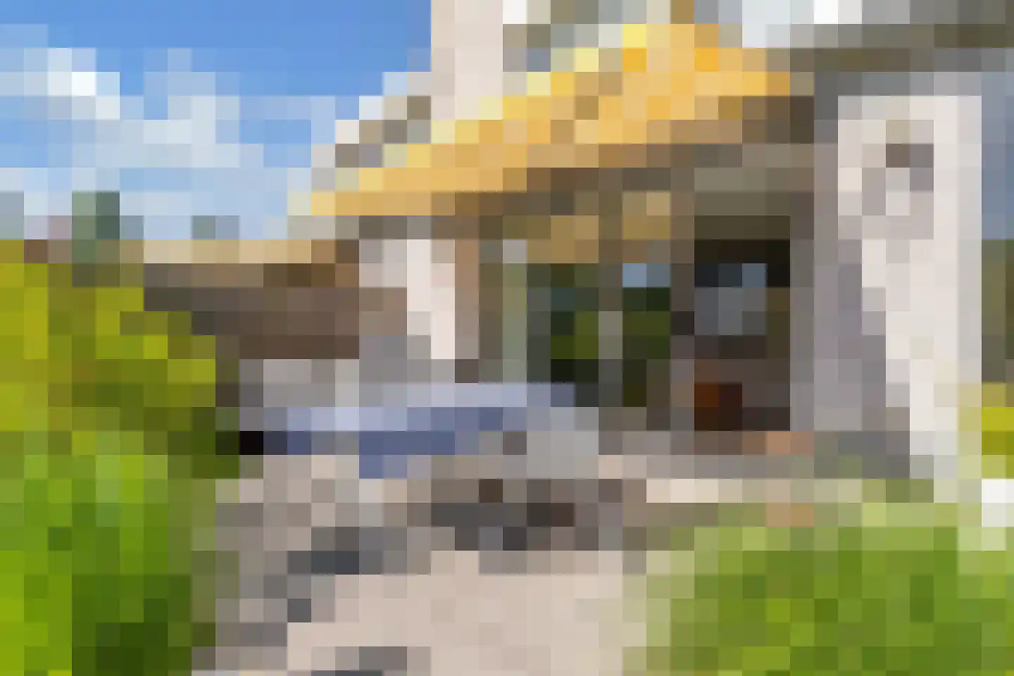 Het Brekkense Wiel 49 Lemmer thumbnail 43