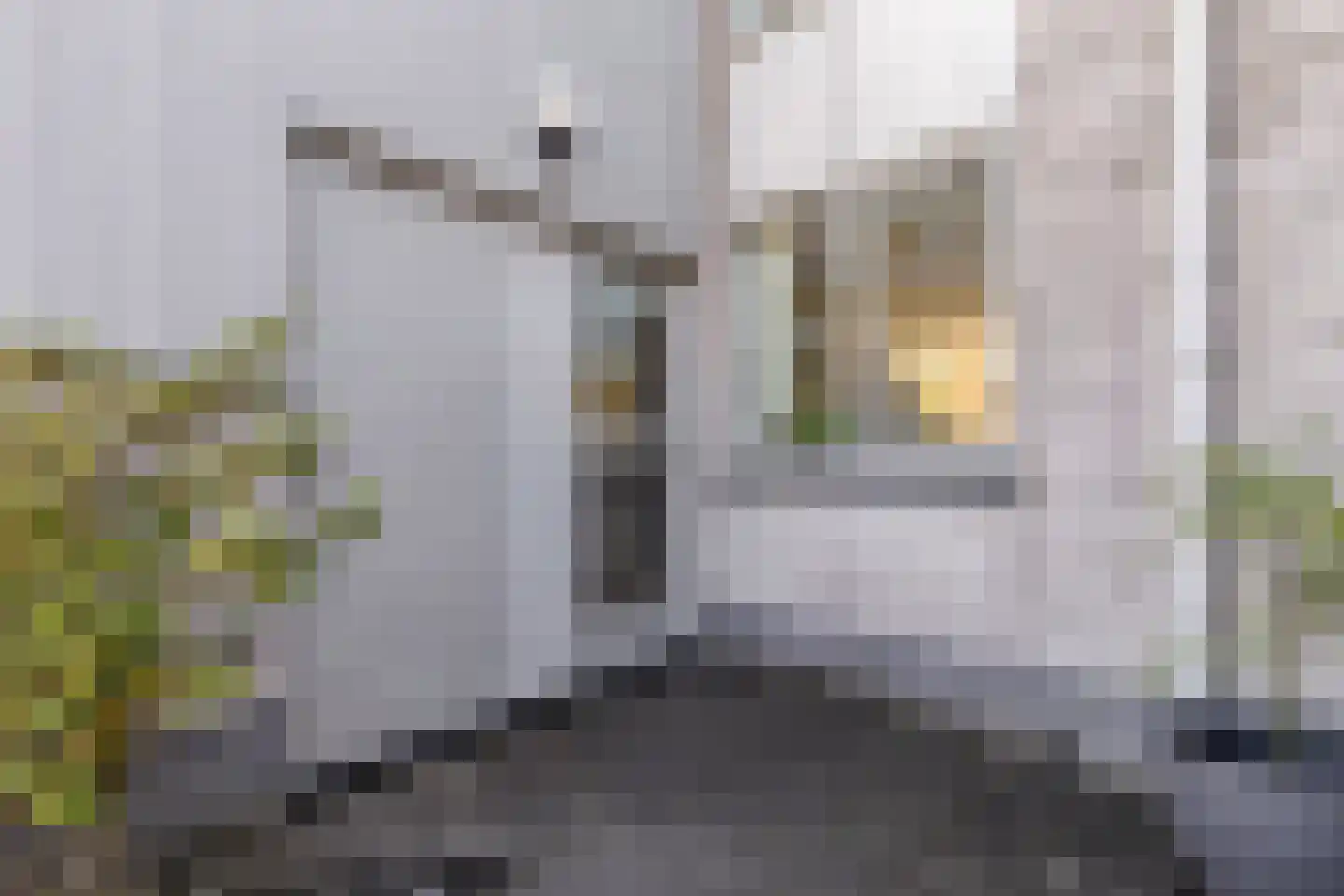Het Brekkense Wiel 49 Lemmer thumbnail 7