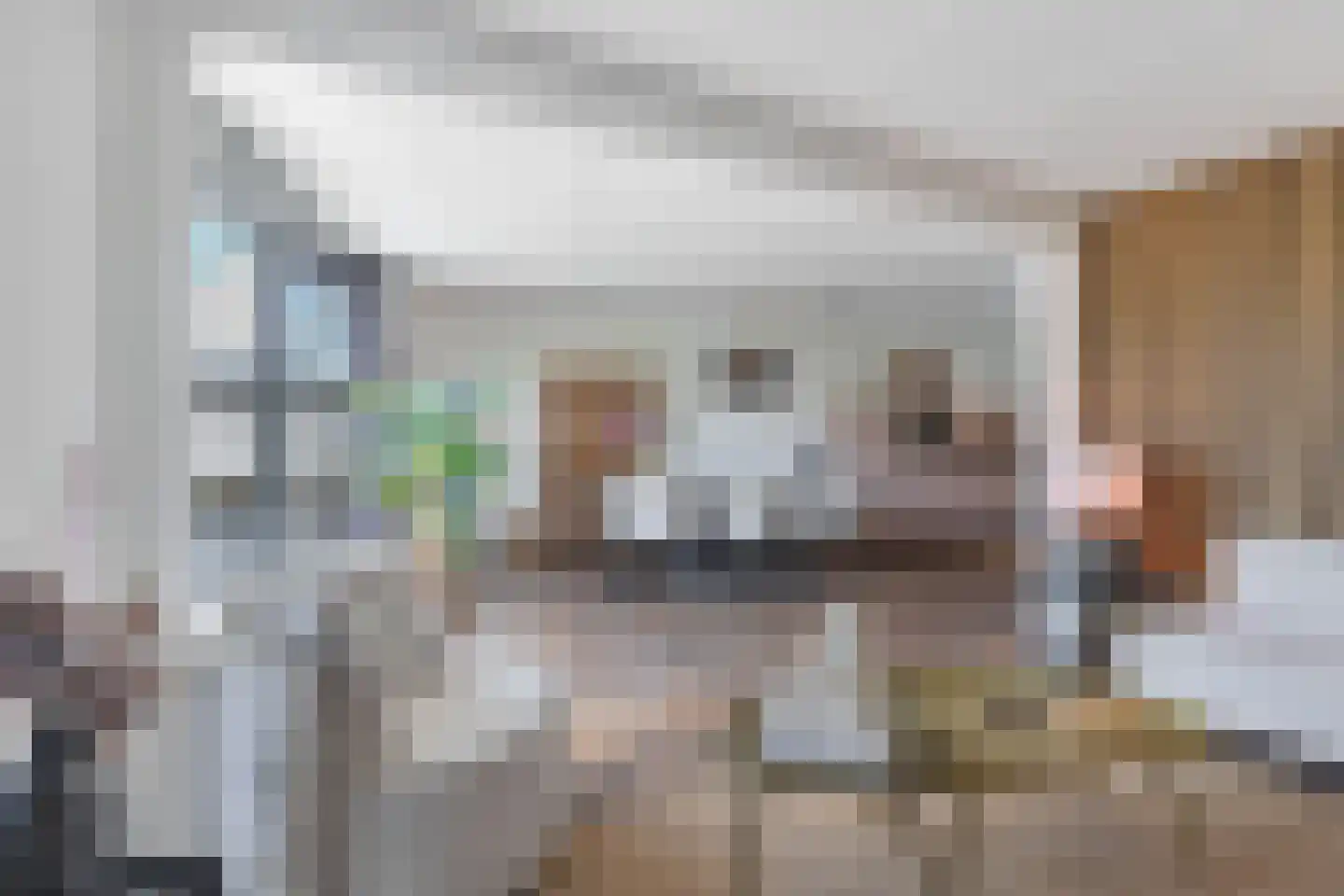 Het Brekkense Wiel 57 Lemmer thumbnail 13